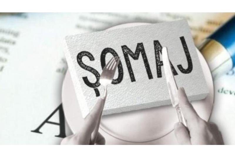 ȘOMAJUL TEHNIC ÎN NOUL CONTEXT SOCIO-ECONOMIC